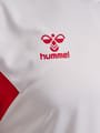 hmlAUTHENTIC PL JERSEY S/S