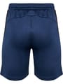 hmlMULTI PL SHORTS