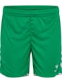 hmlCORE 2.0 SHORTS WOMAN