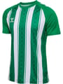 hmlMATCH STRIPED JERSEY S/S KIDS