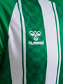 hmlMATCH STRIPED JERSEY S/S KIDS