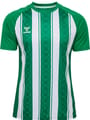 hmlMATCH STRIPED JERSEY S/S KIDS