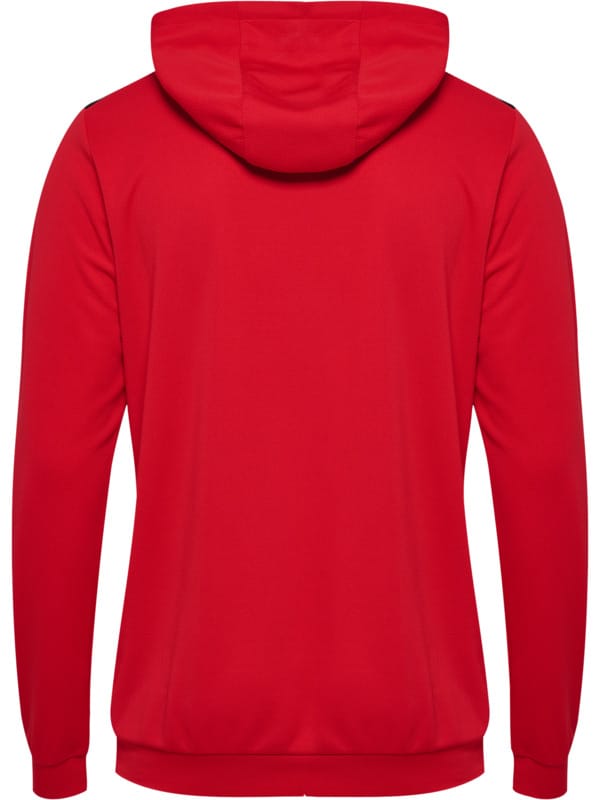 hmlAUTHENTIC PL HOODIE