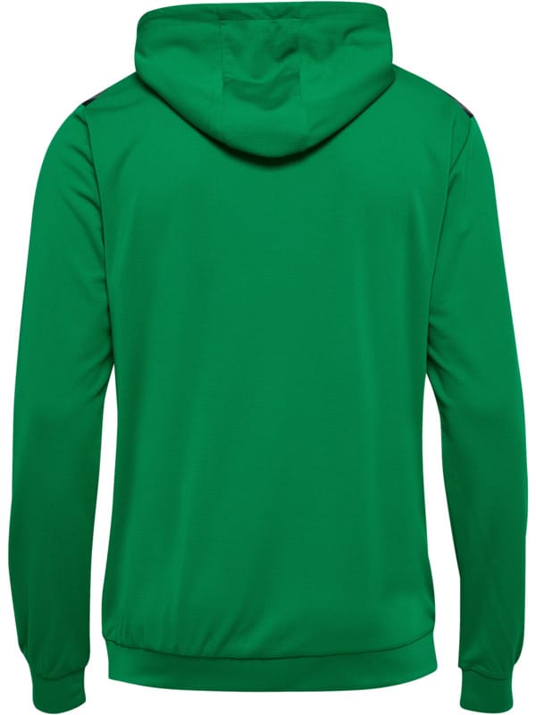 hmlAUTHENTIC PL HOODIE