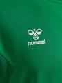 hmlAUTHENTIC PL HOODIE
