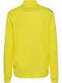 hmlAUTHENTIC PL HALF ZIP SWEAT KIDS