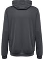 hmlAUTHENTIC PL HOODIE