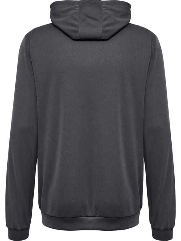 hmlAUTHENTIC PL HOODIE