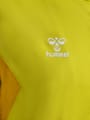 hmlAUTHENTIC PL ZIP HOODIE