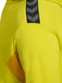 hmlAUTHENTIC PL ZIP HOODIE