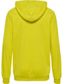 hmlAUTHENTIC PL ZIP HOODIE KIDS