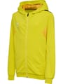 hmlAUTHENTIC PL ZIP HOODIE KIDS
